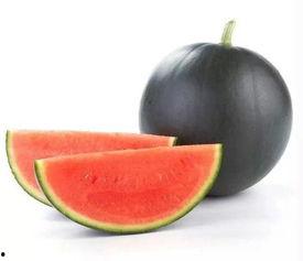 吃瓜娱乐号怎么做起来的,揭秘其崛起之路