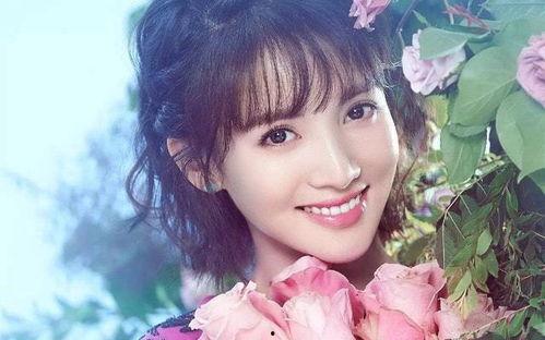 娱乐圈吃瓜公众号金晨