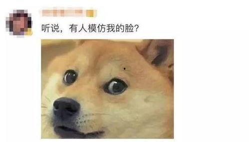 微信吃瓜表情包在哪里,一键生成趣味互动新宠