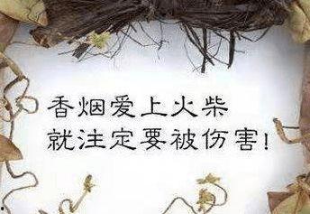 吃瓜表情是什么意思啊内涵句子,网络热词背后的幽默与内涵