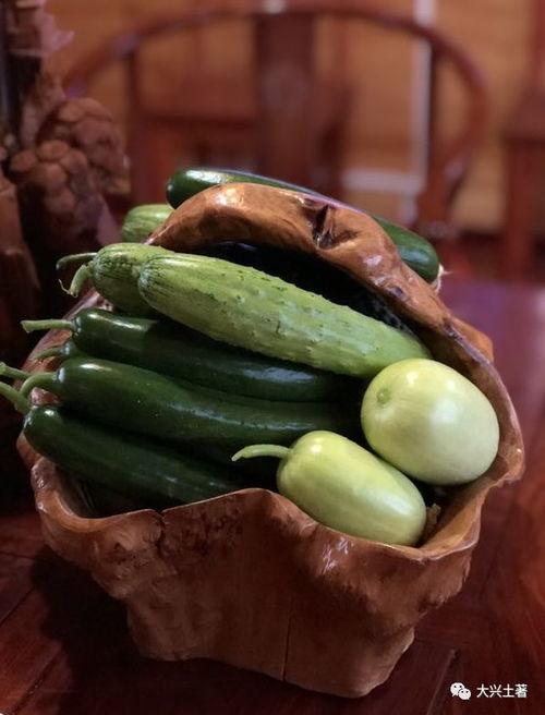 娱乐网红吃瓜,娱乐圈幕后故事一网打尽