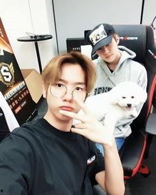 娱乐吃瓜酱男孩,揭秘娱乐圈背后的故事与趣闻