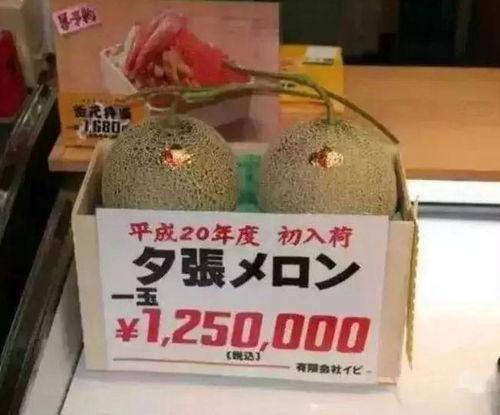 专业娱乐吃瓜圈,那些你不知道的幕后故事与八卦风云