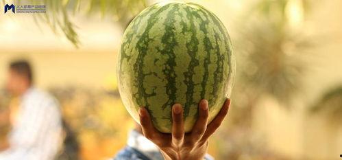 2021年娱乐圈吃瓜